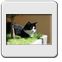 Bild 001