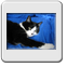 Bild 010
