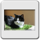 Bild 002