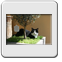 Bild 003