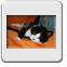 Bild 004