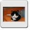 Bild 005
