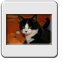 Bild 006
