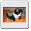 Bild 007