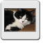 Bild 009